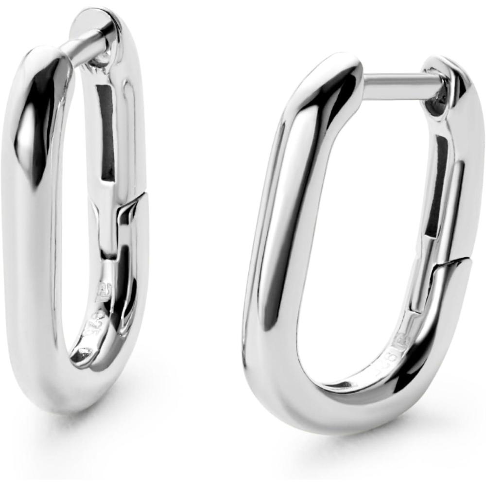 imageAna Luisa Rox Rectangle Hoop Earrings for Women  Chic Small amp Mini 14K Gold Plated Hoop Trendy Earrings amp Silver Rhodium Plated Huggie Hoops  Hypoallergenic TarnishFree WaterResistant Huggie HoopsMini  Silver