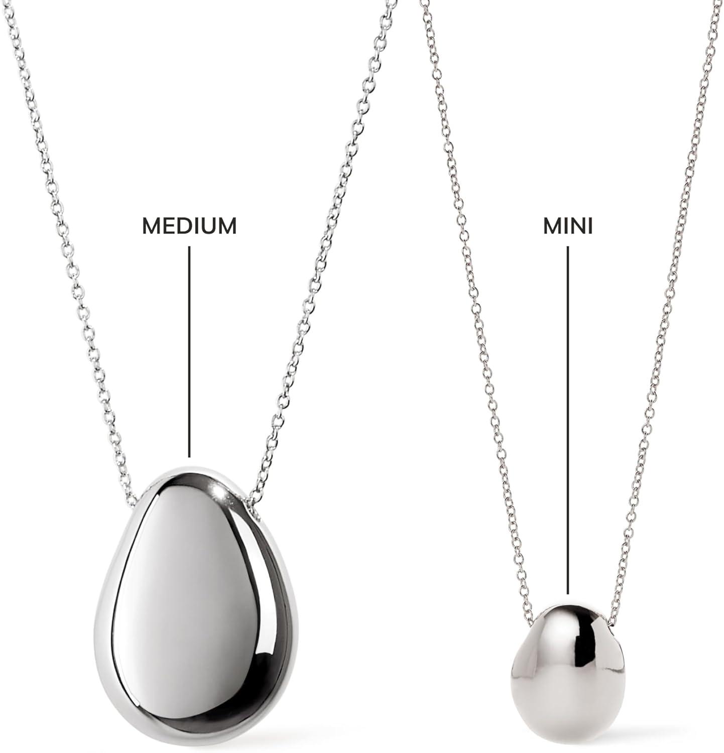 imageAna Luisa Pebble Pendant Necklace for Women 14K Gold Plated and Silver Rhodium Plated Trendy Teardrop Necklace with Lobster Clasp Hypoallergenic WaterResistant TarnishFree JewelryMiniSilver