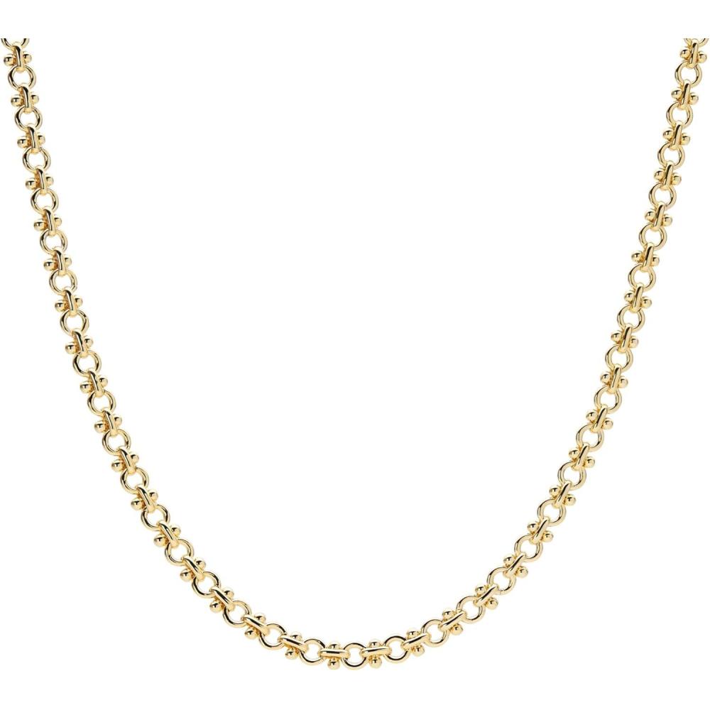imageAna Luisa Jewelry Gold Chain Necklaces for Women 14K Gold Plated Dainty Necklaces for Layering and Daily Wear Hypoallergenic WaterResistant Jewelry Flower Heart Chain Assorted StylesChunky Gold